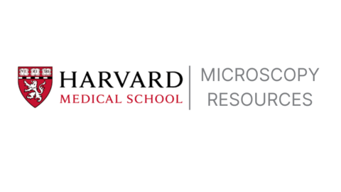 MICRO RESOURCES