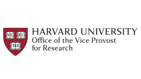 Vice Provost